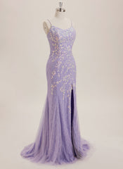 Trumpet/Mermaid Scoop Floor-Length Lace Maxi Dresses With Sequins