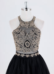 Ball-Gown/Princess Sleeveless Short Lace Tulle Homecoming Dress With Sequins