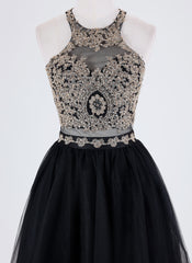Ball-Gown/Princess Sleeveless Short Lace Tulle Homecoming Dress With Sequins