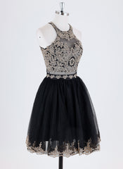 Ball-Gown/Princess Sleeveless Short Lace Tulle Homecoming Dress With Sequins