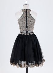 Ball-Gown/Princess Sleeveless Short Lace Tulle Homecoming Dress With Sequins